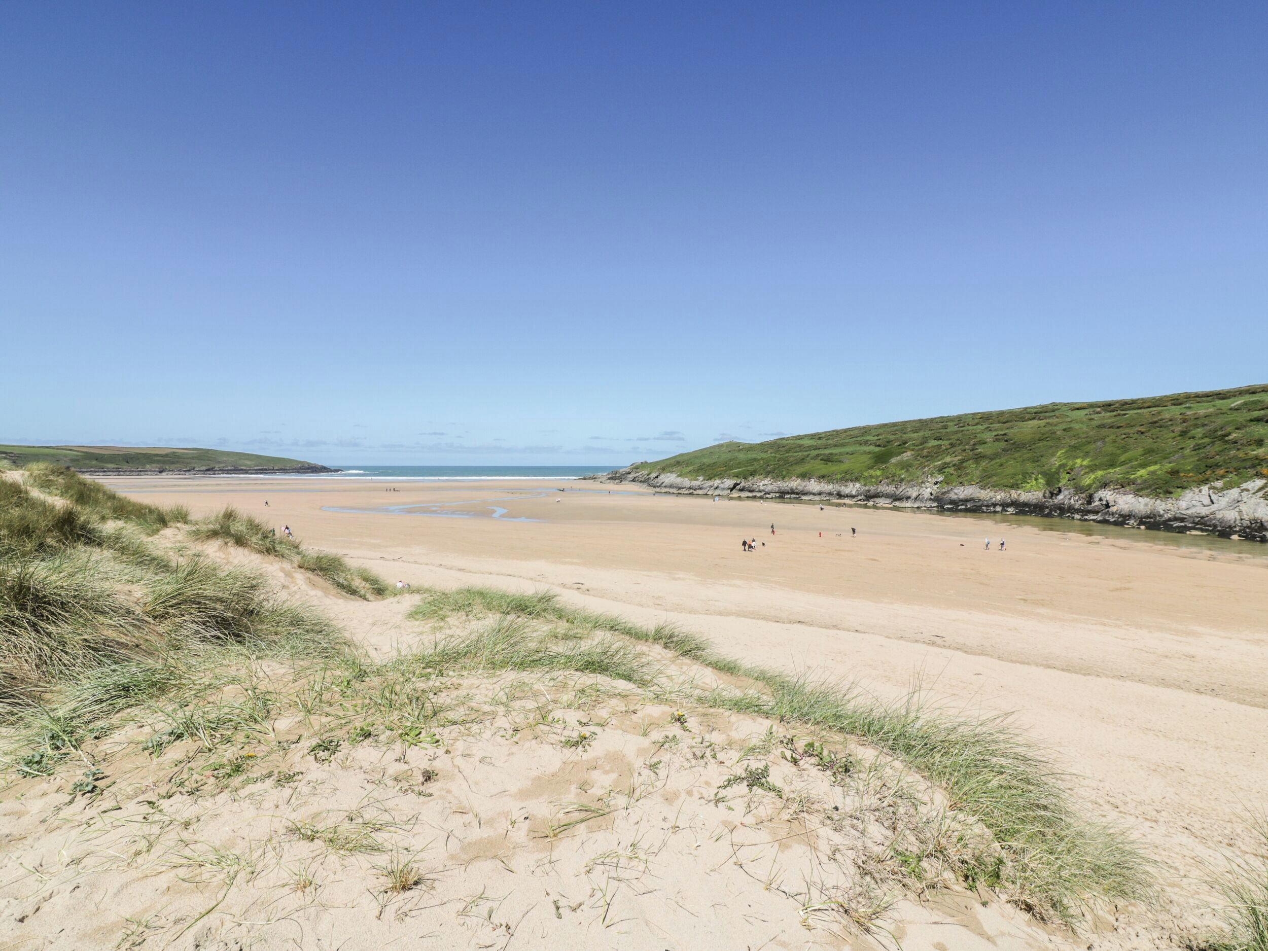 A beach with a clear sky, grassy dunes, and a calm sea.