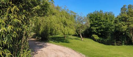 A gravel path leading through a lush green landscape with dense foliage and trees.
