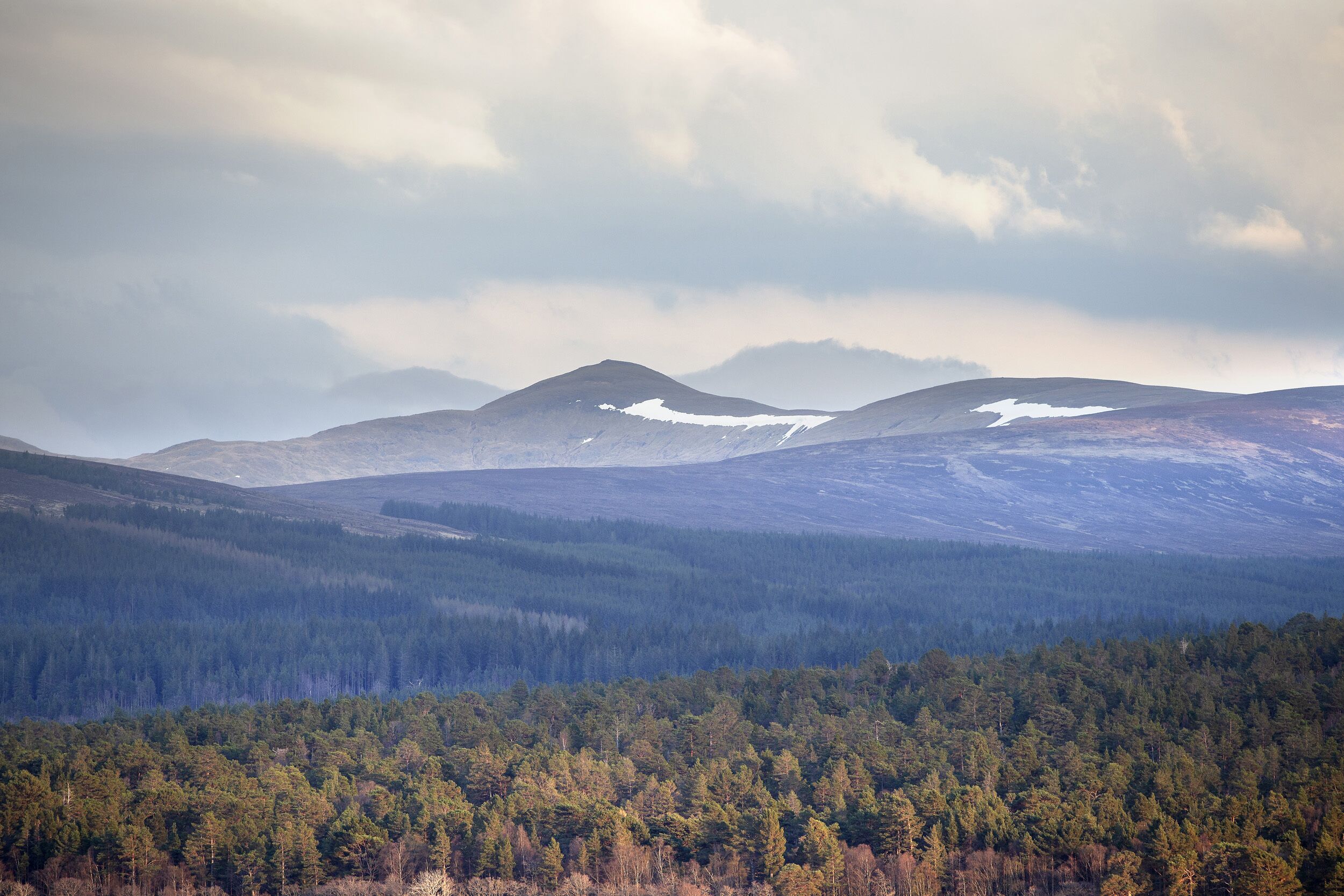 A mountainous landscape with dense forests and snow-capped peaks.
