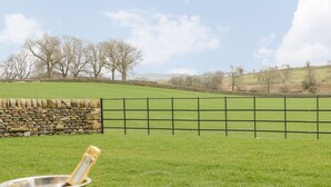 A grassy field with a stone wall and a metal fence.