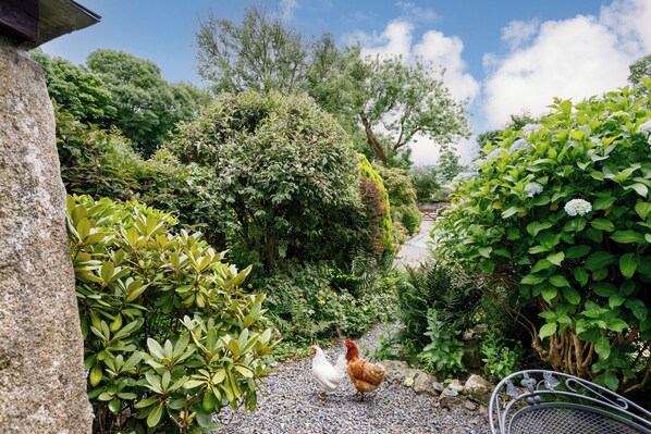 Cottage | Property grounds