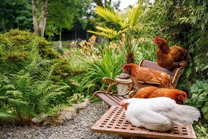 Cottage | Property grounds