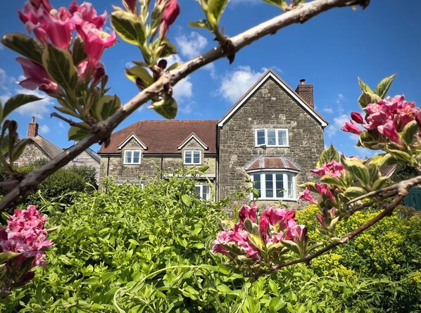 Cottage | Property grounds - Samstone (Shaftesbury)