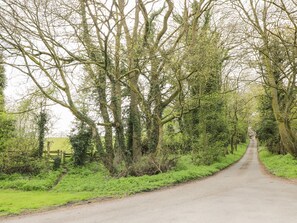 A narrow rural road flanked by dense trees and greenery.