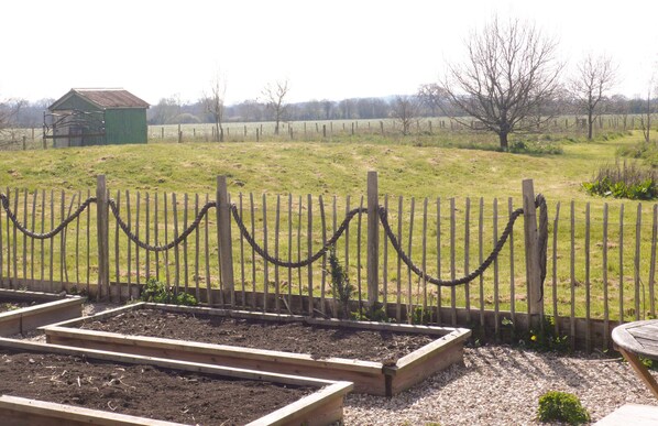 A fenced garden with raised beds and a small shed in the background.