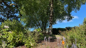 A garden with a variety of plants and flowers, a wooden fence, and a tree. - Hockerley Cottage (High Peak)