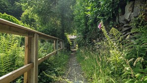 A wooden pathway leading through a lush garden with dense foliage and a stone structure in the distance. - Tyn Y Ffynnon (Betws-Y-Coed)