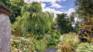 A garden with a gravel path, various plants, and a wooden fence. - Little Leighs (Launceston)