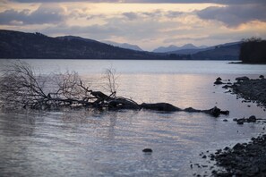 A calm lake with a rocky shoreline and bare trees. - Bruce (Pitlochry)
