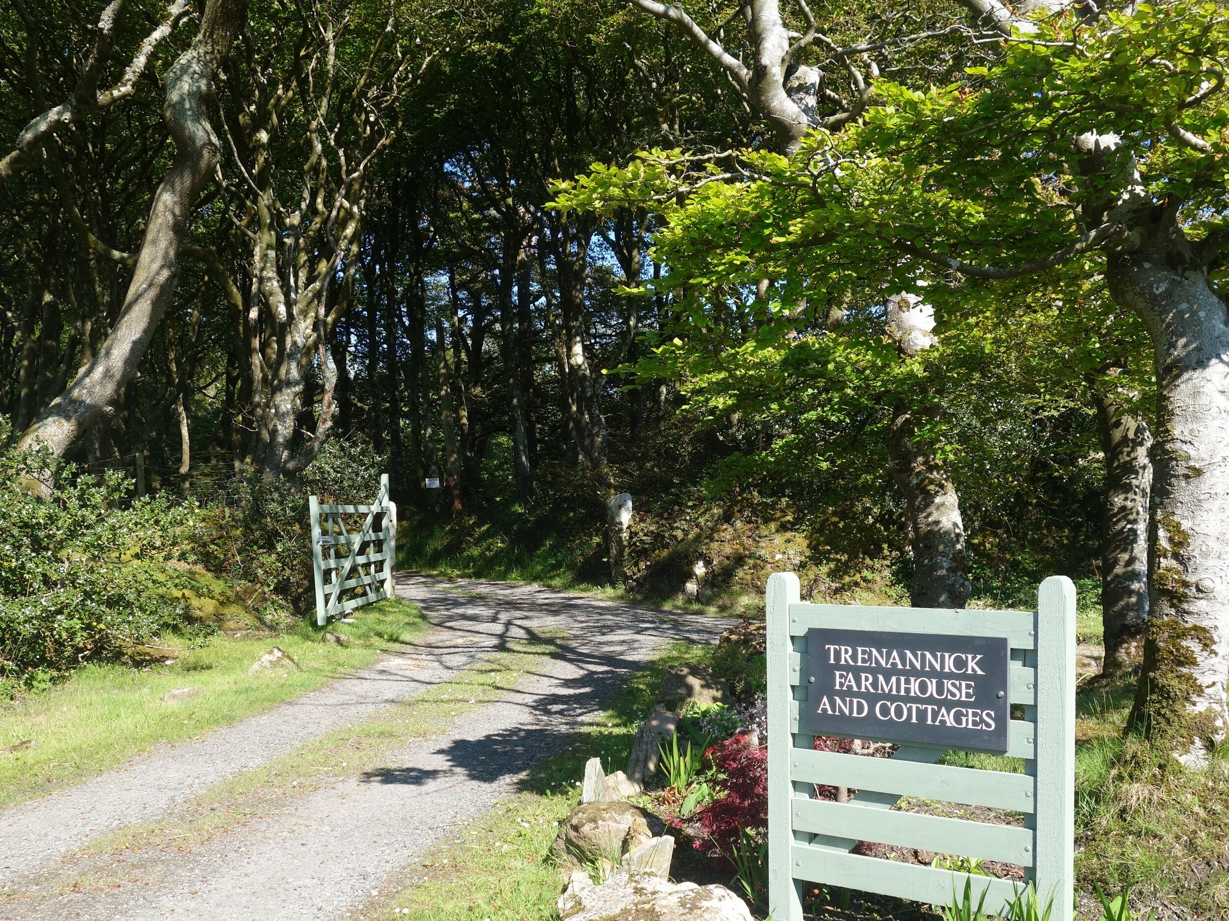 Un panneau indiquant l’emplacement de la ferme et des gîtes de Trenwith, signalant un cadre rural avec un chemin de gravier traversant une zone boisée.