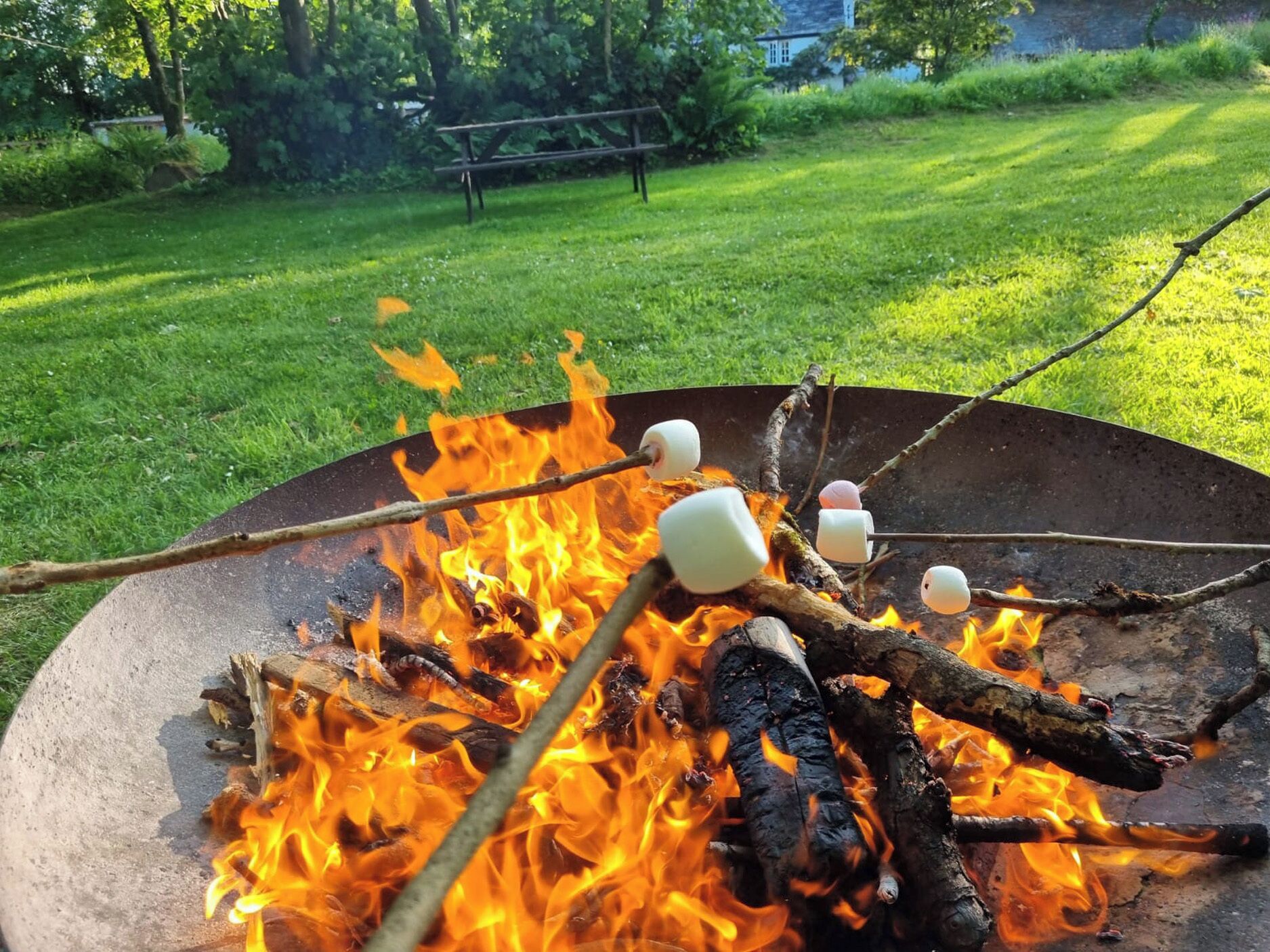 A campfire with marshmallows roasting over flames.