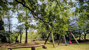 Une aire de jeux avec des balançoires et un toboggan dans un espace boisé.