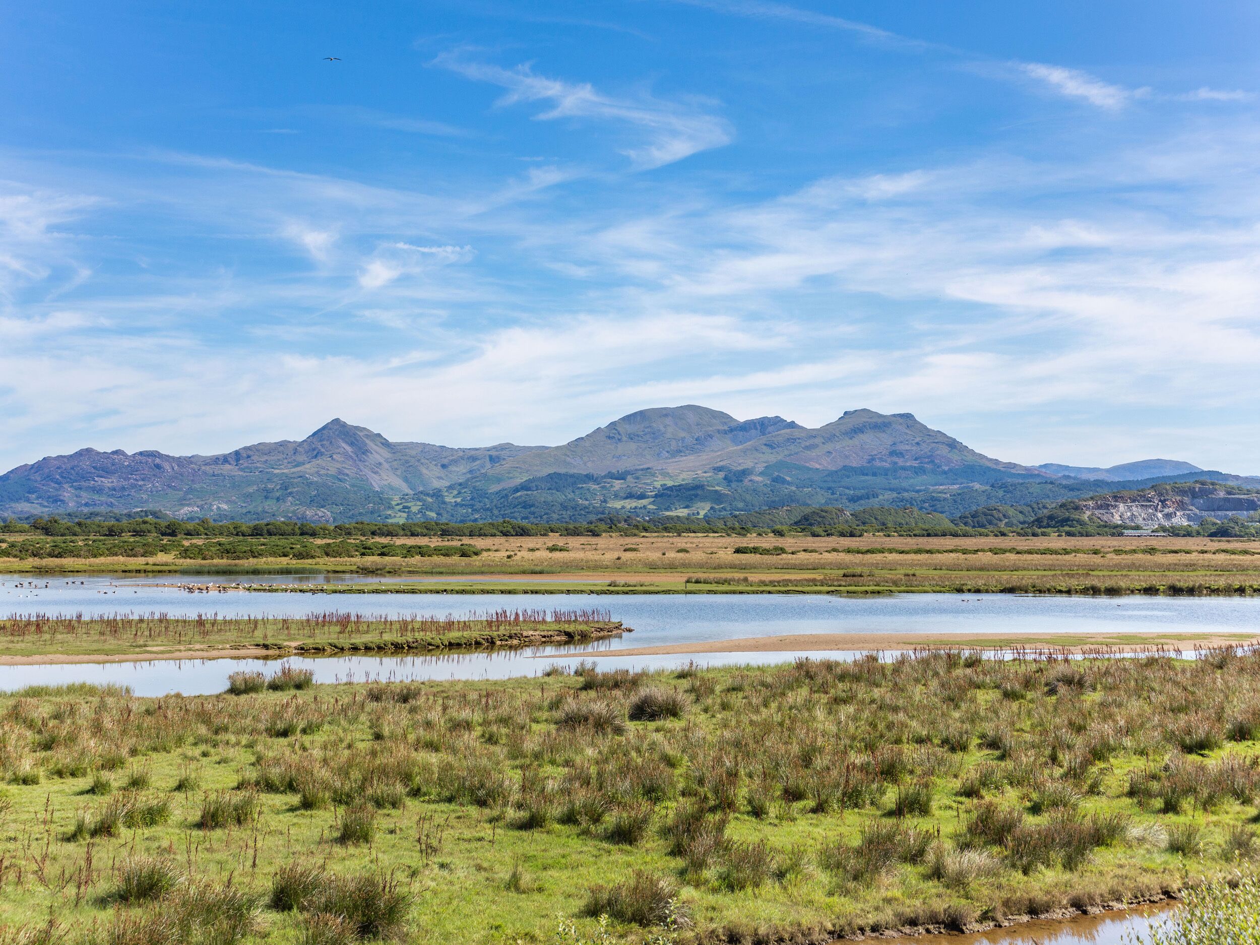 A natural landscape with a mountain range, a river, and a grassy field.