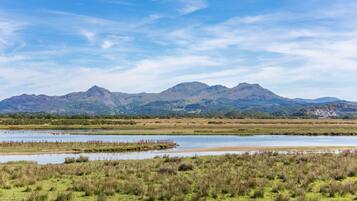 A natural landscape with a mountain range, a river, and a grassy field.