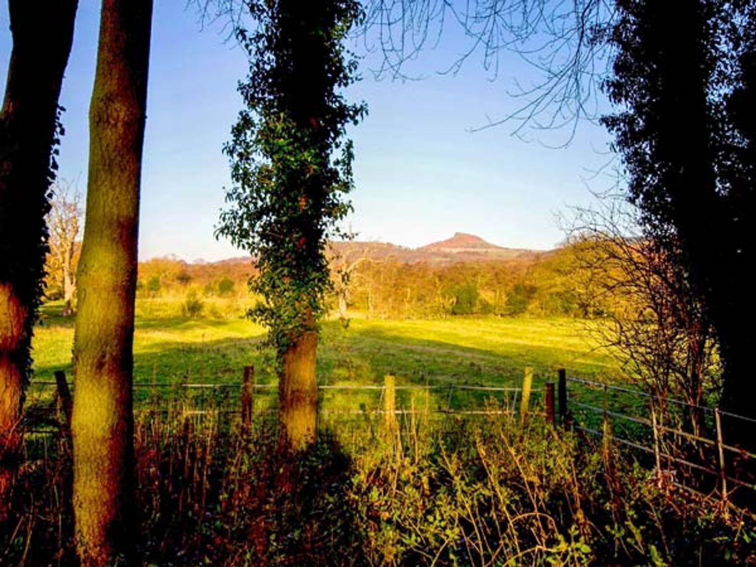 Ländliche Landschaft mit einer grünen Wiese, Bäumen und einem Zaun.