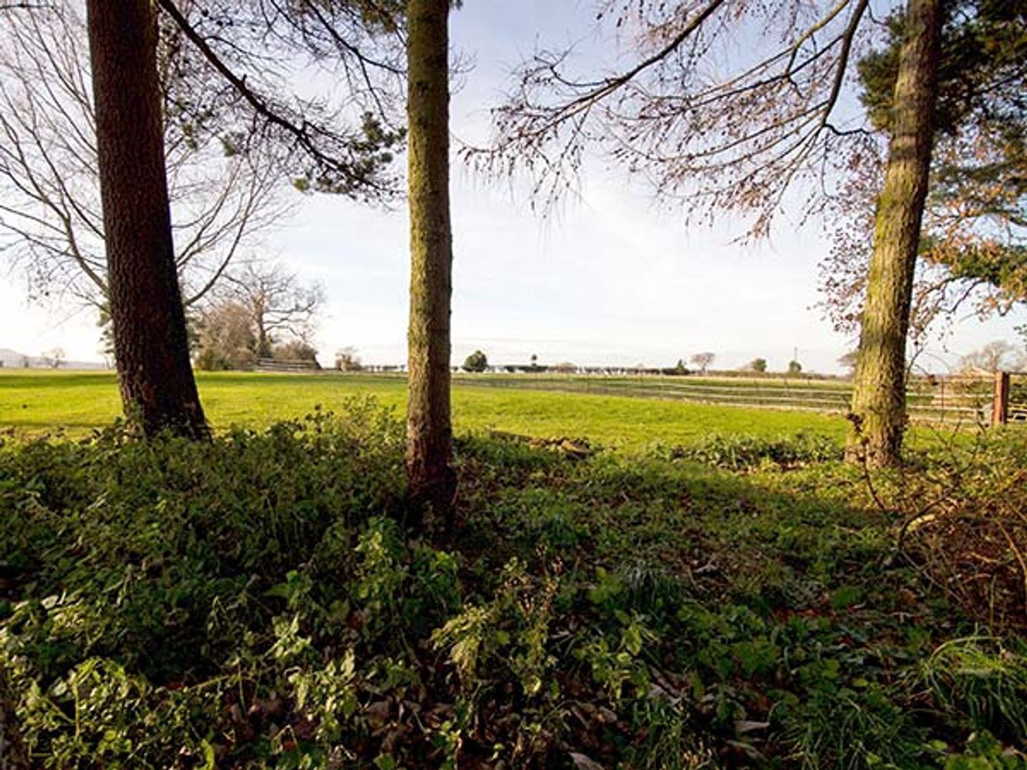 Een landelijk landschap met bomen, een veld en een hek.