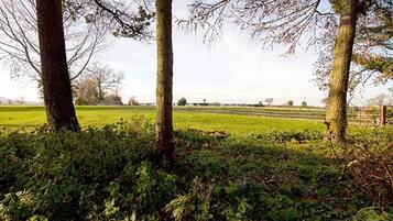 Een landelijk landschap met bomen, een veld en een hek.