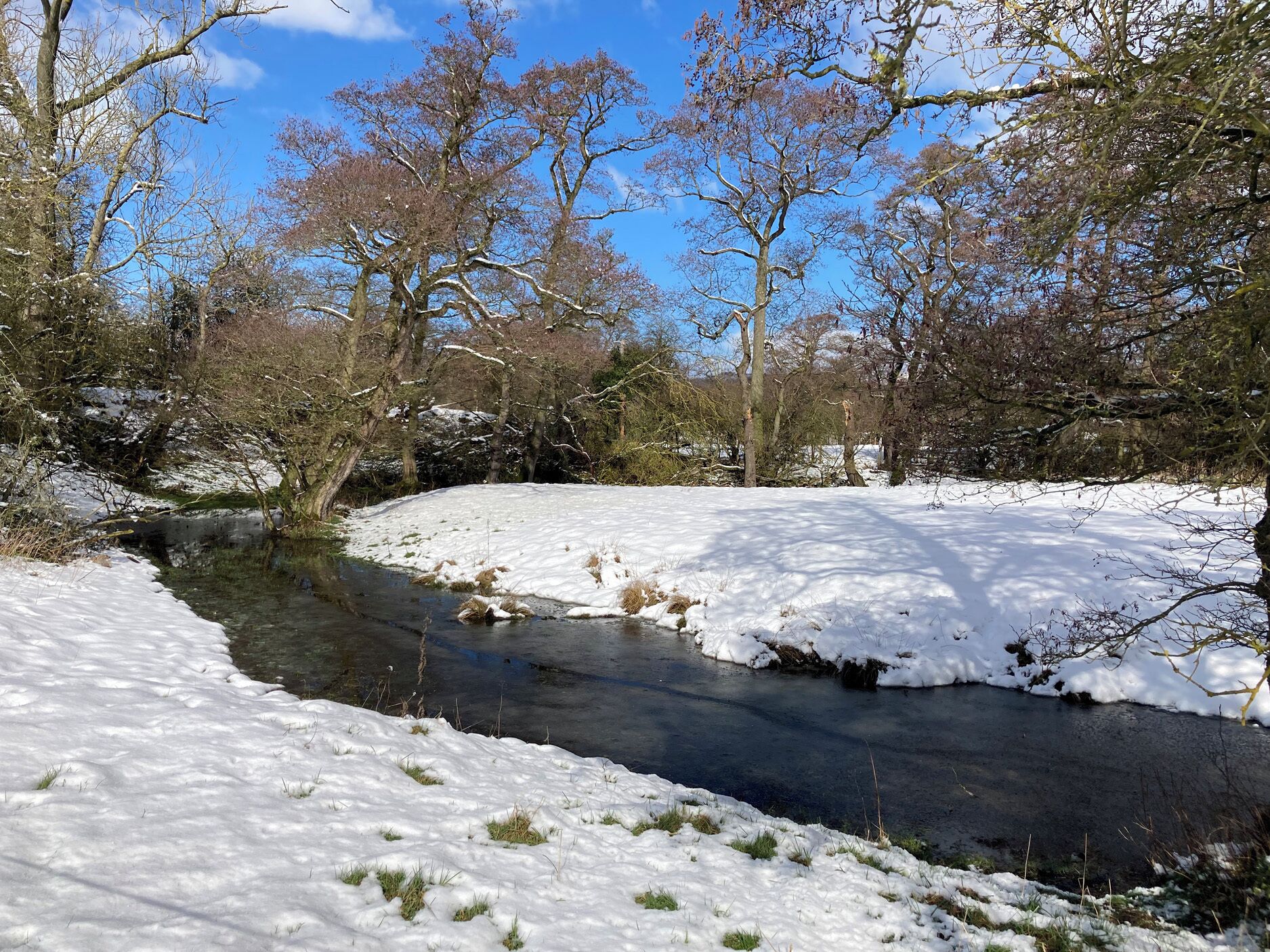 A snow-covered landscape with a river, trees, and a clear sky.
