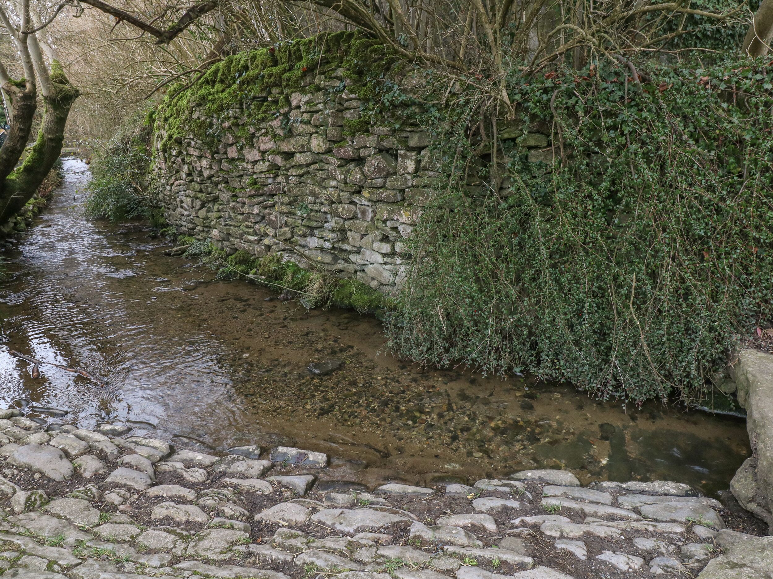 A stone wall with a stream running alongside it, covered in greenery and moss.