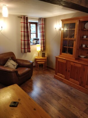 TV, fireplace, DVD player, books - Tynllwyn Holiday Home in Llanrhaeadr Powys (Llanrhaeadr-ym-Mochnant)