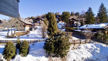 Basic Apartment, 1 Queen Bed with Sofa bed | Property grounds