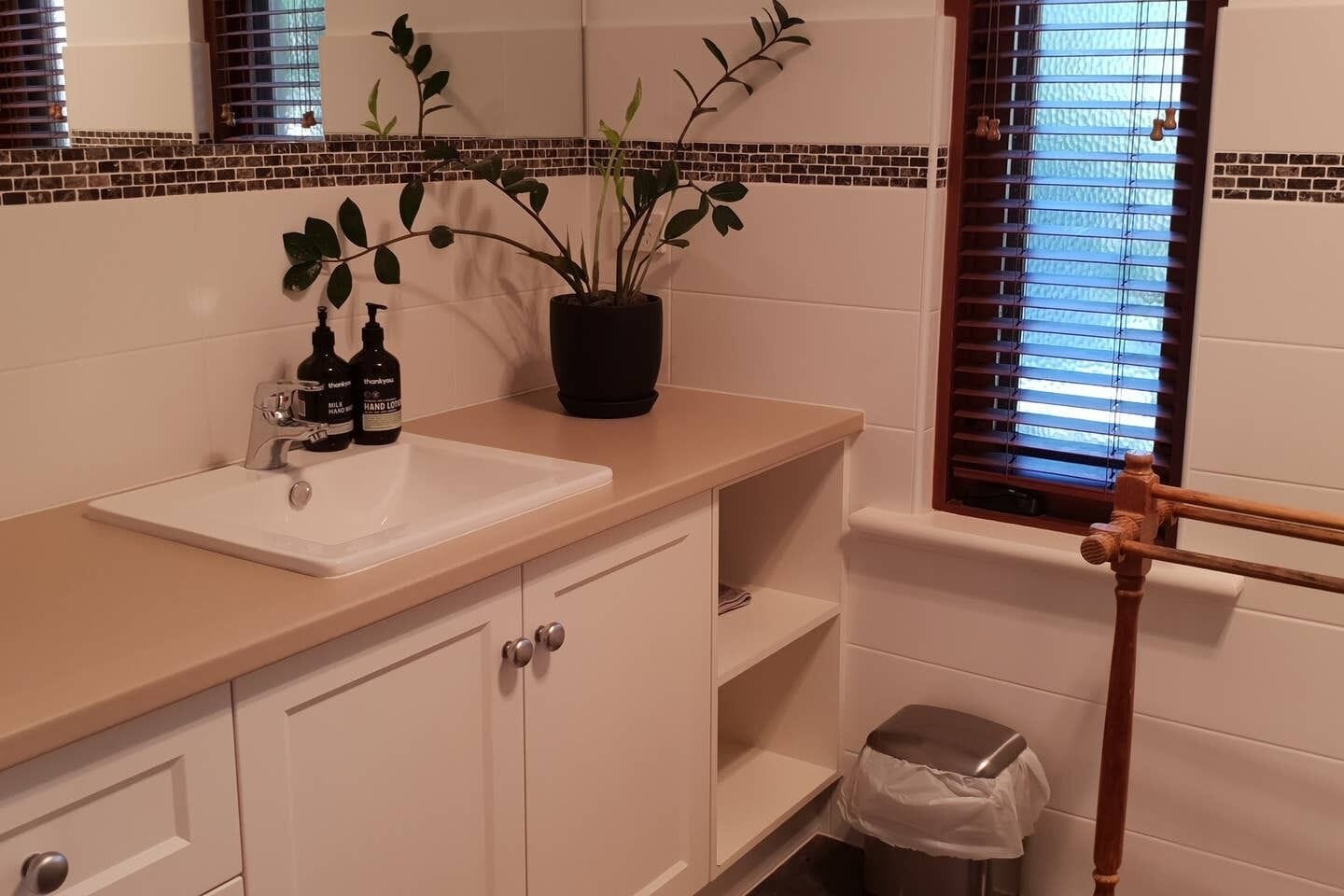 A bathroom with a white sink, a potted plant, a hand soap dispenser, and a window with blinds.
