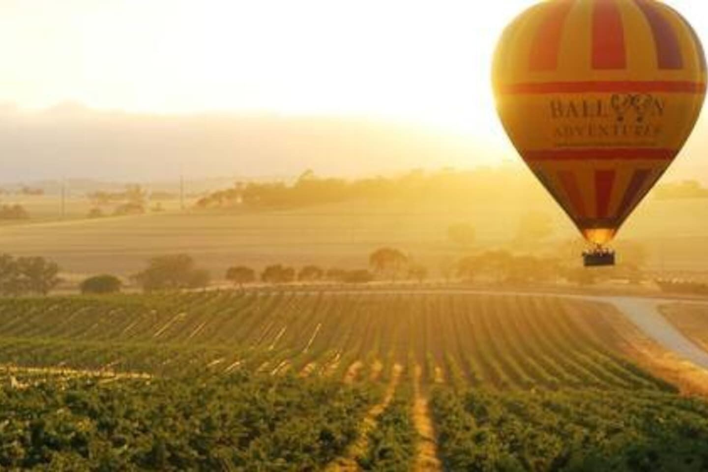 Une montgolfière sur laquelle on peut lire les mots « Balloon Adventure » survole un vignoble.