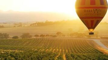 Une montgolfière sur laquelle on peut lire les mots « Balloon Adventure » survole un vignoble.
