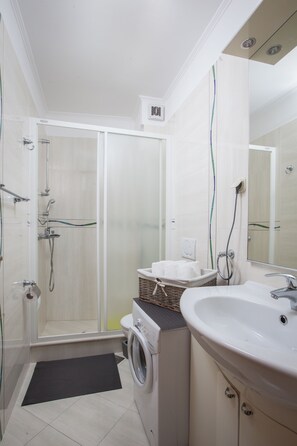 Shower, towels, toilet paper