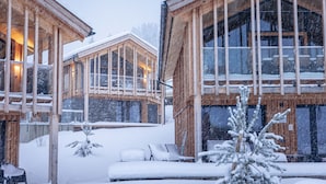 Exterior - Superior Chalet with 5 bedrooms, sauna & pool (Haus im Ennstal)