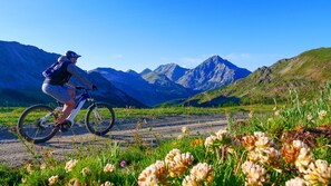 Un ciclista de montaña en un sendero de grava con vistas panorámicas a montañas y flores silvestres.