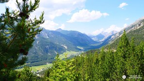 Un paisaje montañoso con bosques densos y un valle.