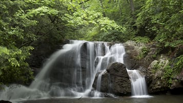 Terrain de l’hébergement 