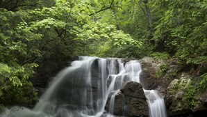 Ein Wasserfall stürzt über Felsen, umgeben von dichtem Grün.