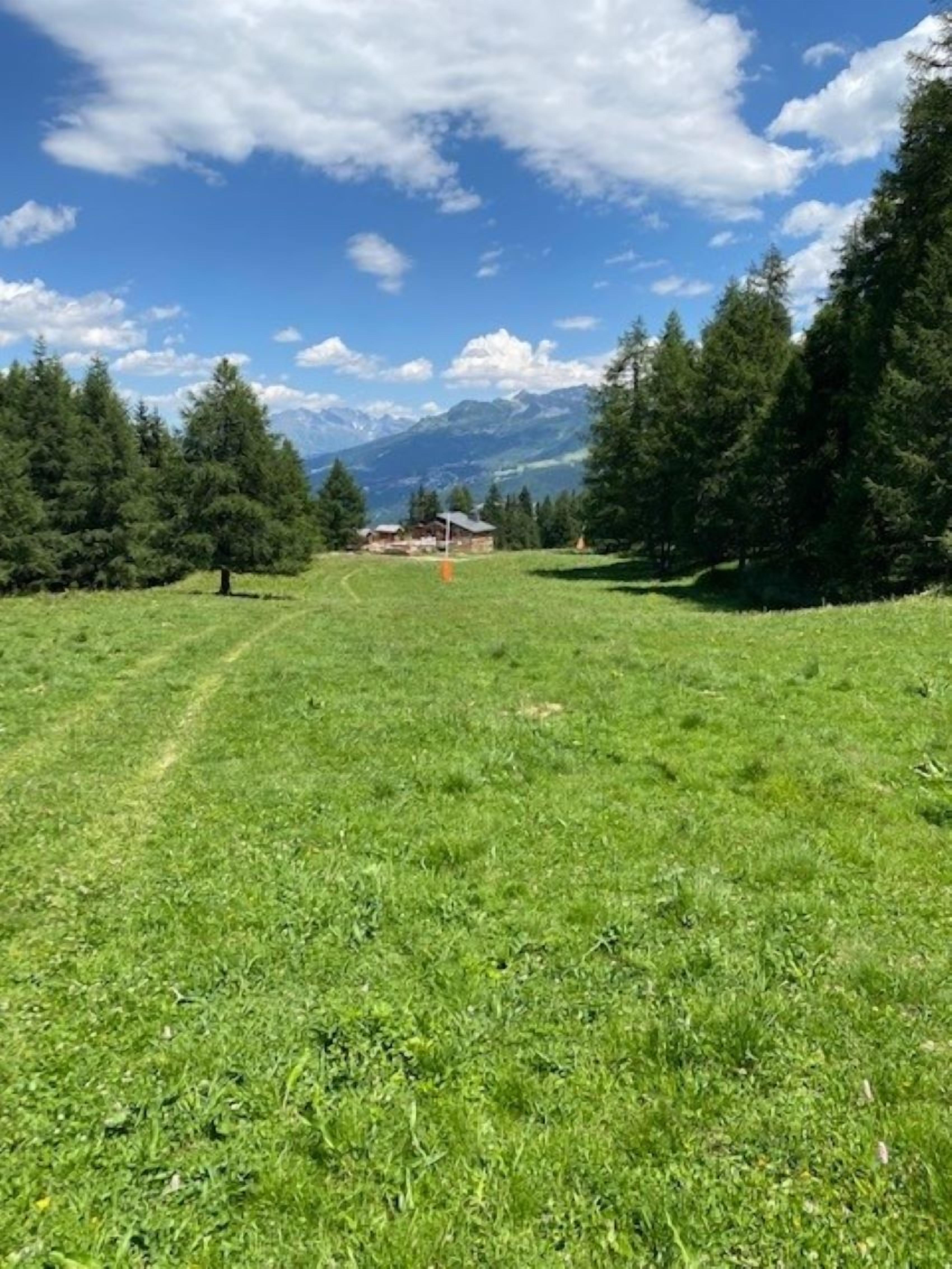 Un campo cubierto de césped con un edificio a lo lejos, rodeado de árboles y montañas.