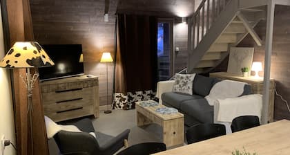 Magnificent renovated flat in La Plagne-Les Coches