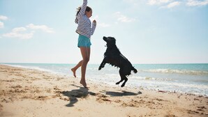 A person and a dog on a sandy beach with the ocean in the background.