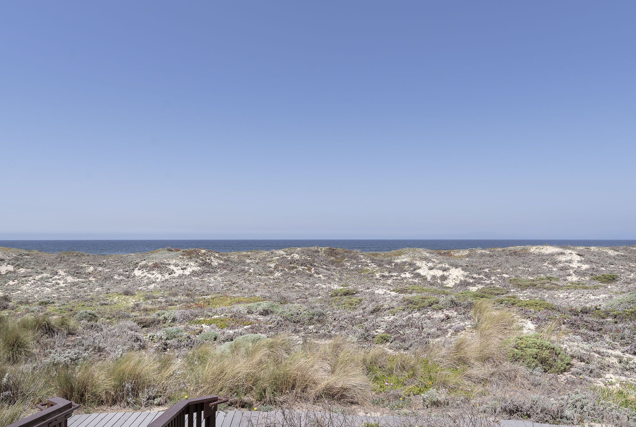 Un paisaje costero con dunas arenosas y vegetación escasa, visto desde una terraza de madera.