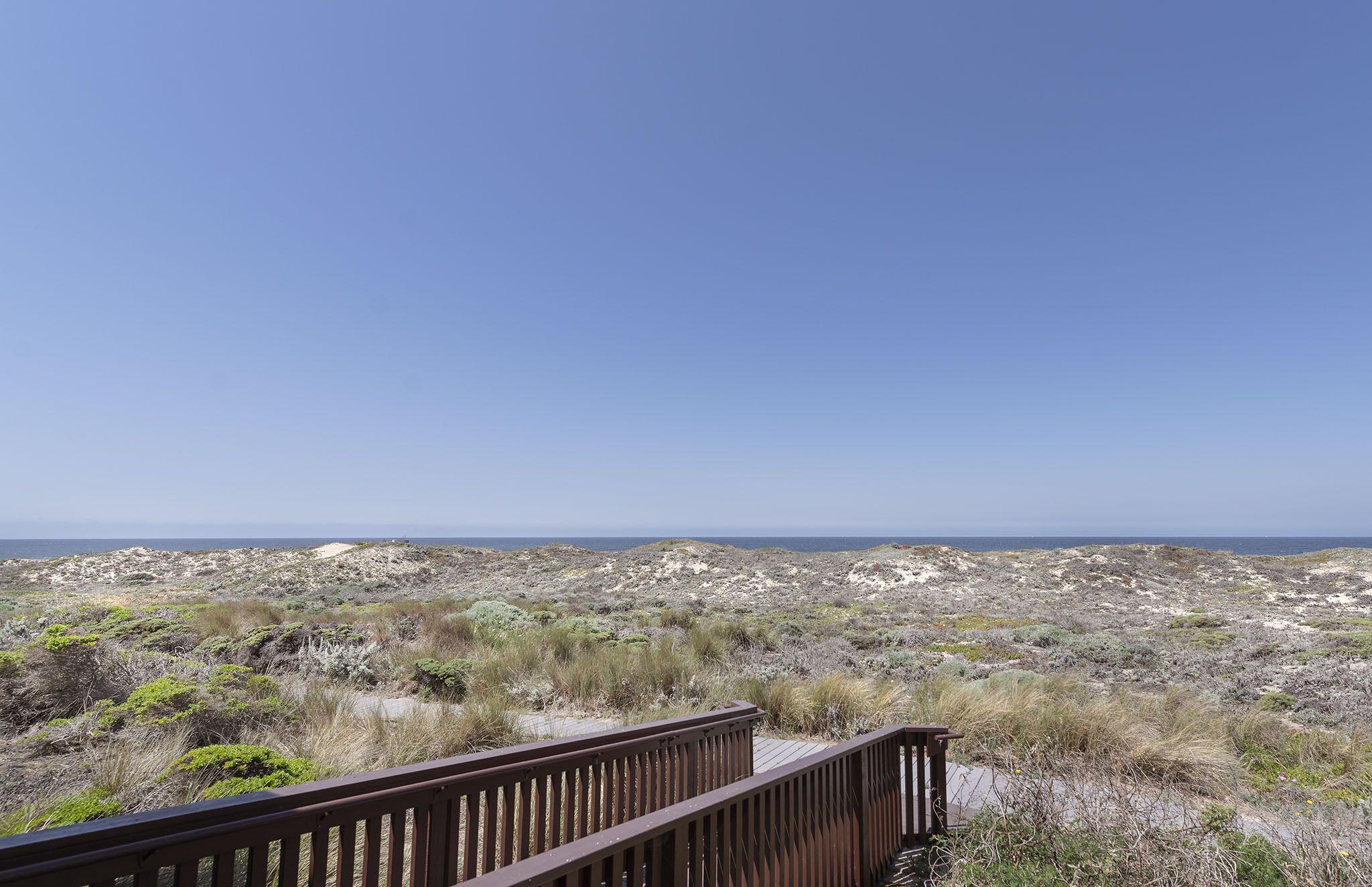 Un paysage côtier avec une terrasse en bois donnant sur un terrain rocheux et l’océan.