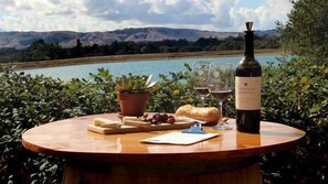 Outdoor dining - Authentic Sonoma Experience - Home & Lush Gardens (Sonoma)