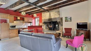 Télévision, lecteur de DVD, livres