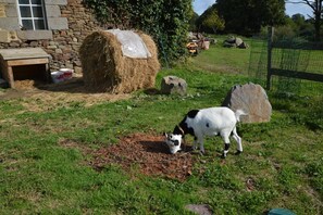 Terrein van de accommodatie