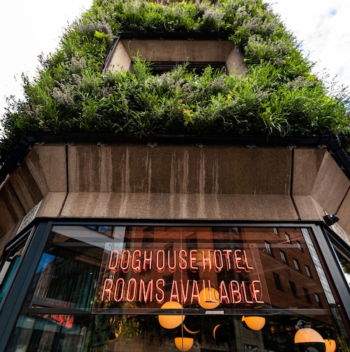 Tim Hortons makes its debut in Manchester city centre - Feed the Lion