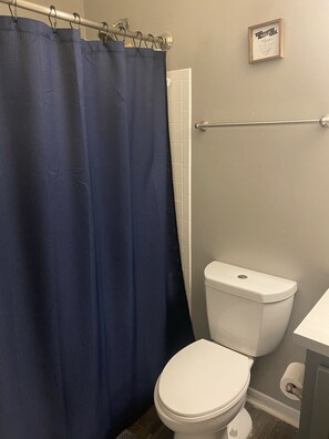 Combined shower/tub, towels, soap, toilet paper - Buckhead Oasis (Atlanta)