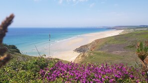 A coastal landscape with a beach, grassy hills, and purple flowers in the foreground.