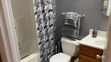 Combined shower/bathtub