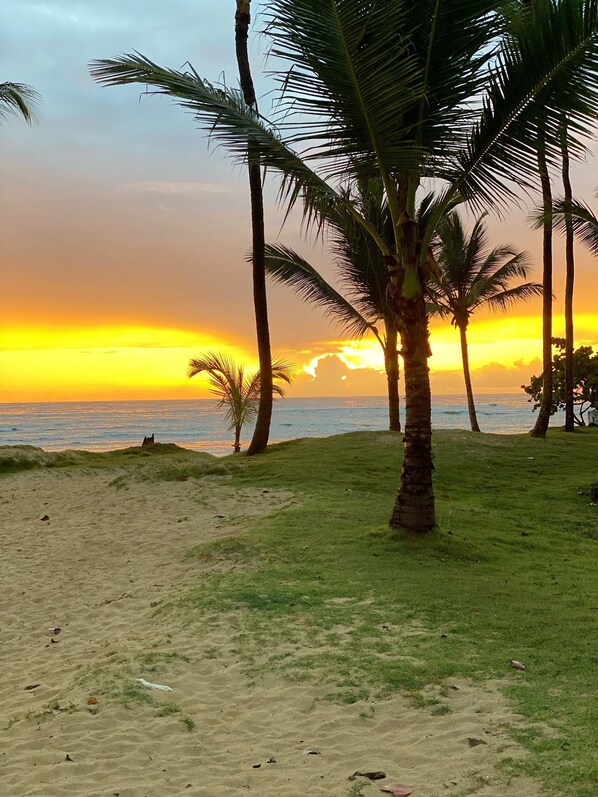 En la playa, camastros y toallas de playa 
