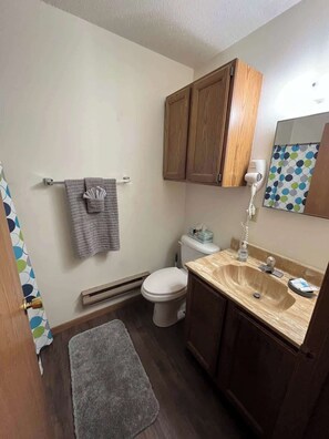 Bathtub, hair dryer, towels