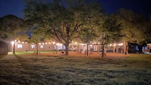 Een buitengebied met picknicktafels en lichtslingers, omringd door bomen.