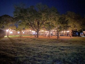 Relax under the stars at our serene outdoor seating area, surrounded by lush greenery and string lights.